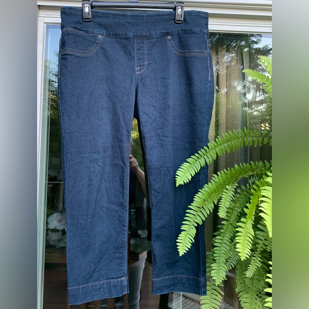 Style & Co Dark Denim Jean Capri Size Large
